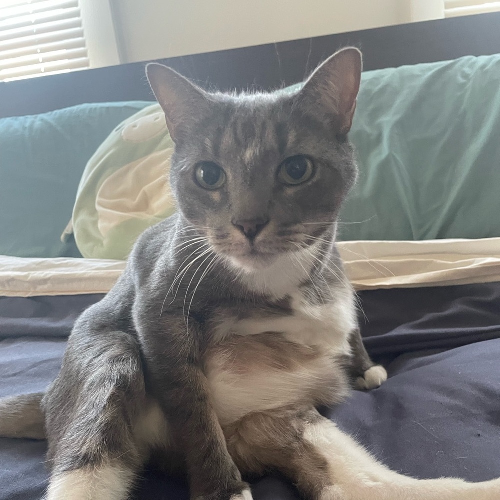 Meet your Posher, Eric